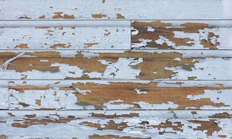Lead Paint Abatement Services — cost of